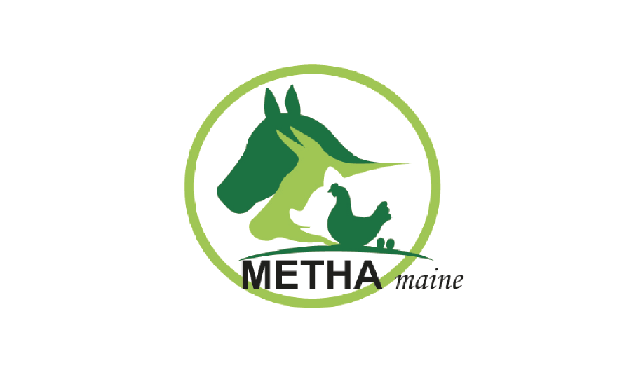 Logo Methamaine